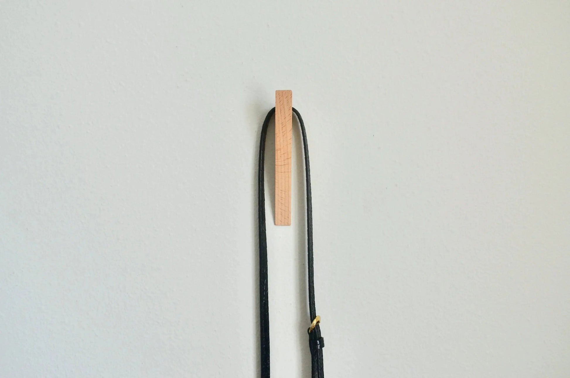 Triangle Organizer
